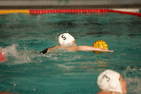 WIWPG_07_Q2008