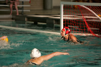 WIWPG_07_Q2009