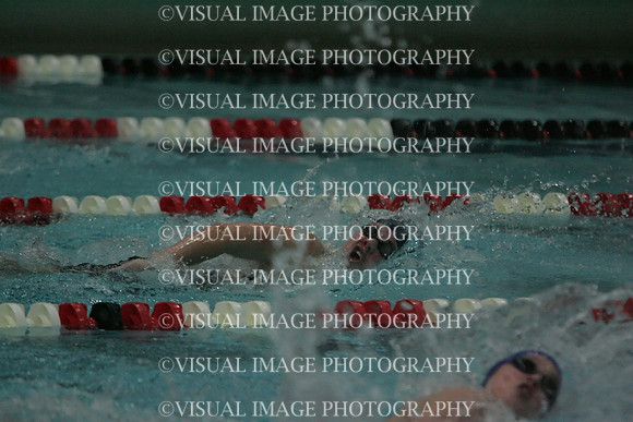 wiswg09_1free_2007