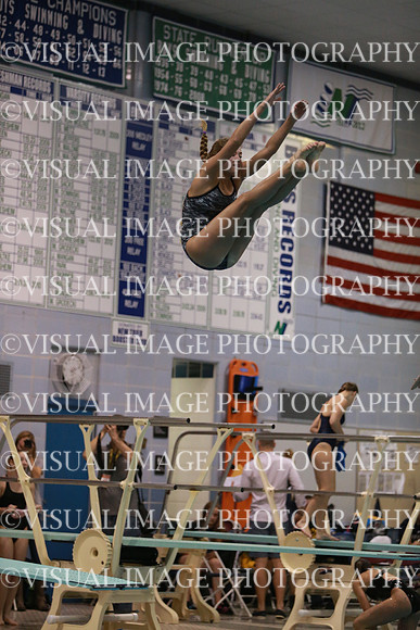ILSWG13_DIVE_015