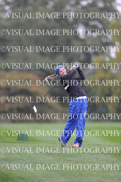 ILGFG_13_T206011