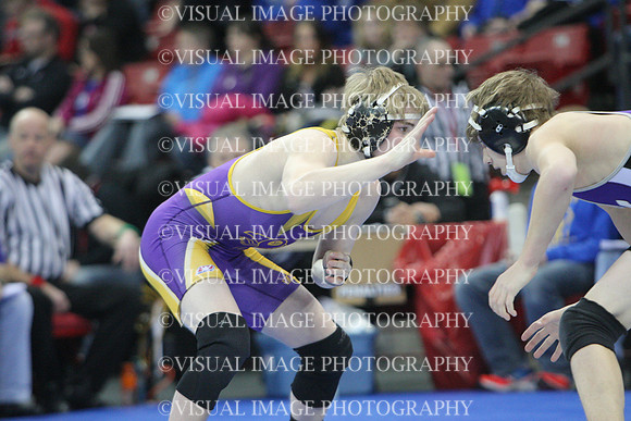 WIIWR13_126_C2011