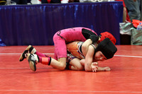 WWF14_GIRL_F0006