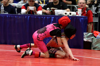 WWF14_GIRL_F0008