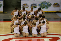 TDIHS13_POM_12003