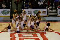 TDIHS13_POM_12006