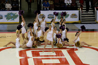 TDIHS13_POM_12007