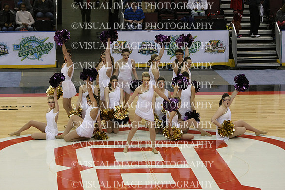 TDIHS13_POM_12007