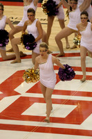 TDIHS13_POM_12008