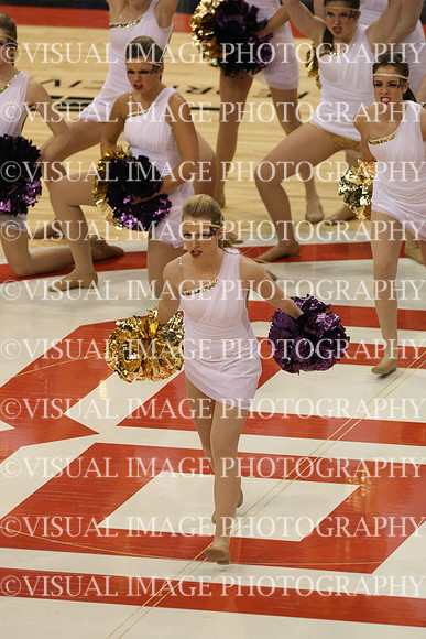 TDIHS13_POM_12008