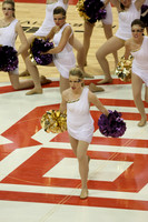 TDIHS13_POM_12009