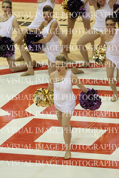 TDIHS13_POM_12009