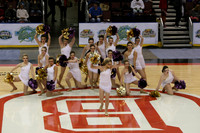 TDIHS13_POM_12011