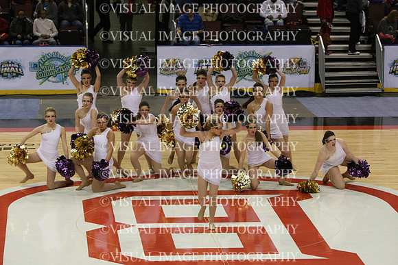 TDIHS13_POM_12011