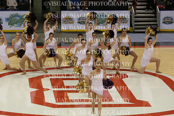 TDIHS13_POM_12012