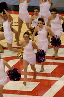 TDIHS13_POM_12013