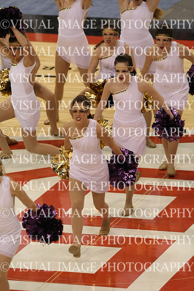 TDIHS13_POM_12013