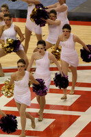 TDIHS13_POM_12014