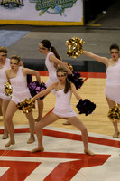 TDIHS13_POM_12016