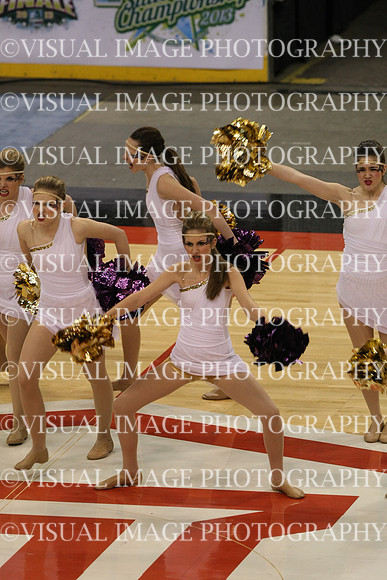 TDIHS13_POM_12016