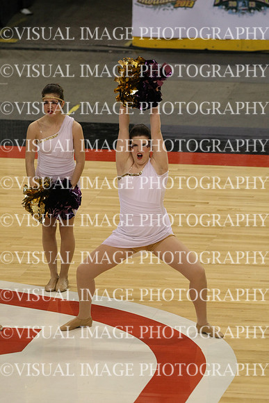 TDIHS13_POM_12018