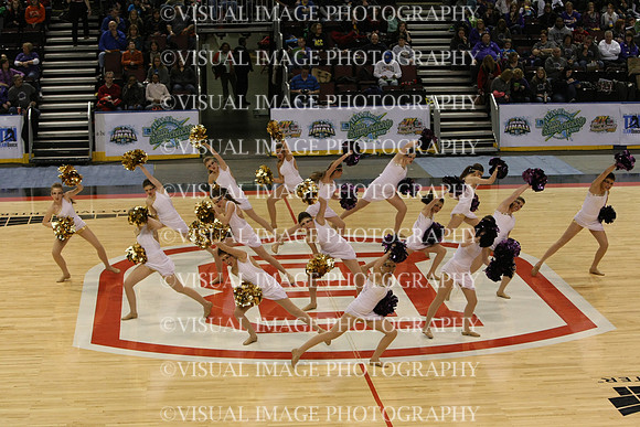 TDIHS13_POM_12020