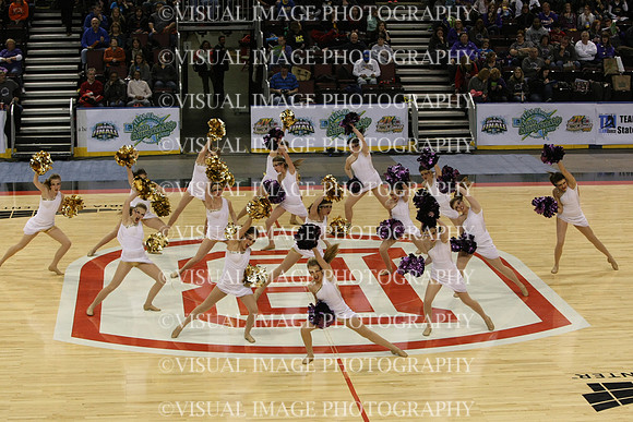 TDIHS13_POM_12021