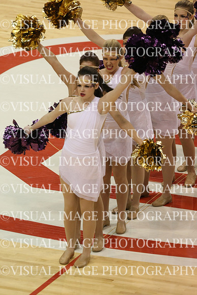 TDIHS13_POM_12023