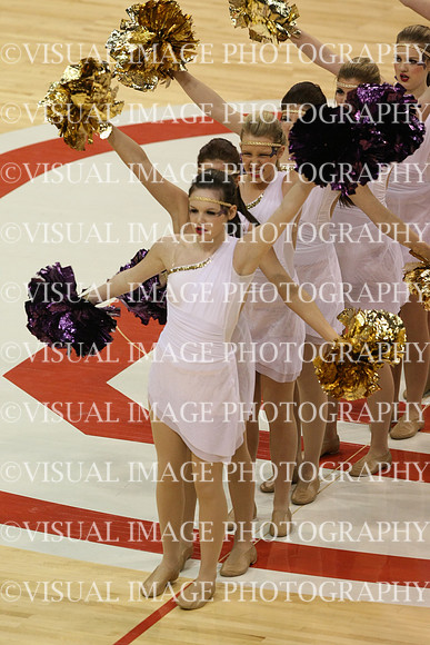 TDIHS13_POM_12025