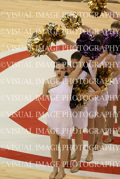 TDIHS13_POM_12026