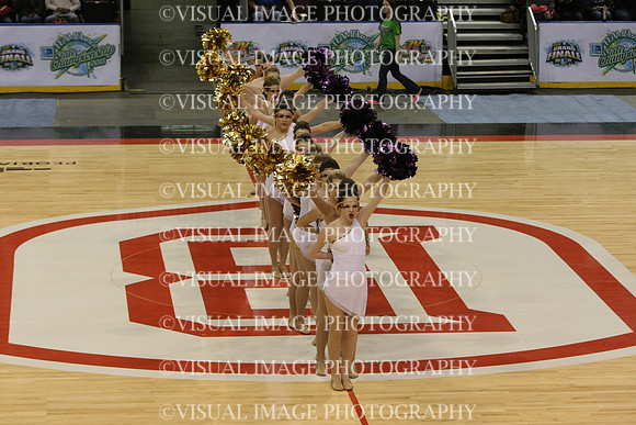 TDIHS13_POM_12028