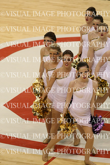 TDIHS13_POM_12029