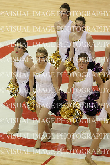 TDIHS13_POM_12030