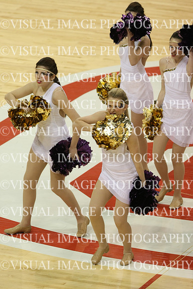 TDIHS13_POM_12031