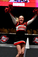 190 Badger