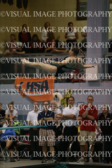 ILSWG13_DIVE_024
