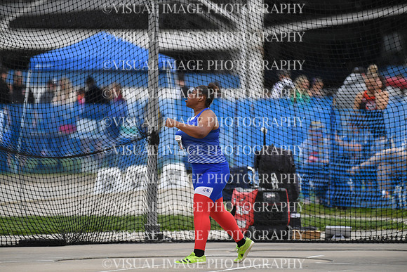 ILTKG26_DISCUS_P2041