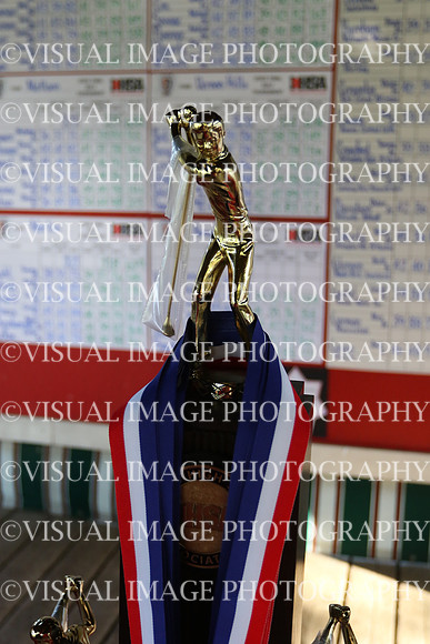 ILGF_16_A2043