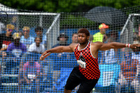 ILTK26_DISCUS_F30002
