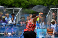ILTK26_DISCUS_F30006