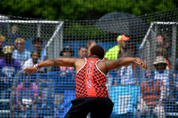 ILTK26_DISCUS_F30007