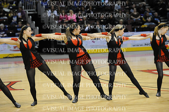 TDIHS12_EXHIB_03025