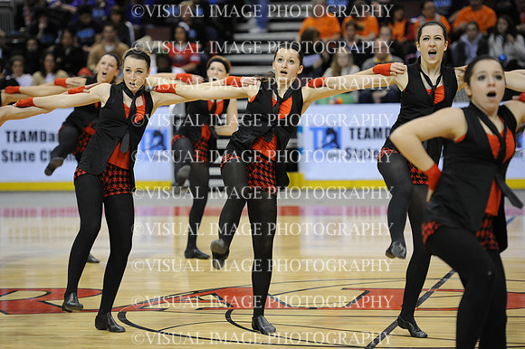 TDIHS12_EXHIB_03028