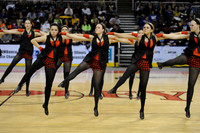 TDIHS12_EXHIB_03020