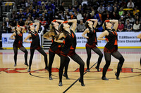 TDIHS12_EXHIB_03012
