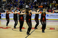 TDIHS12_EXHIB_03010