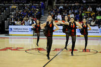 TDIHS12_EXHIB_03016