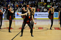 TDIHS12_EXHIB_03006