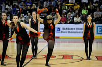 TDIHS12_EXHIB_03007