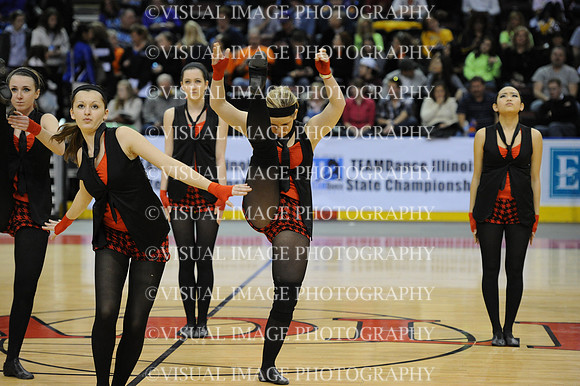 TDIHS12_EXHIB_03007